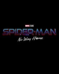 Человек-паук 3: Нет пути домой (2021) смотреть онлайн